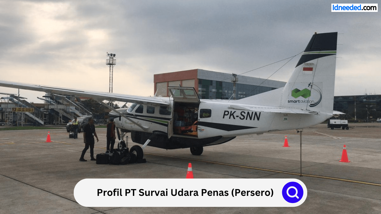 Profil PT Survai Udara Penas (Persero)