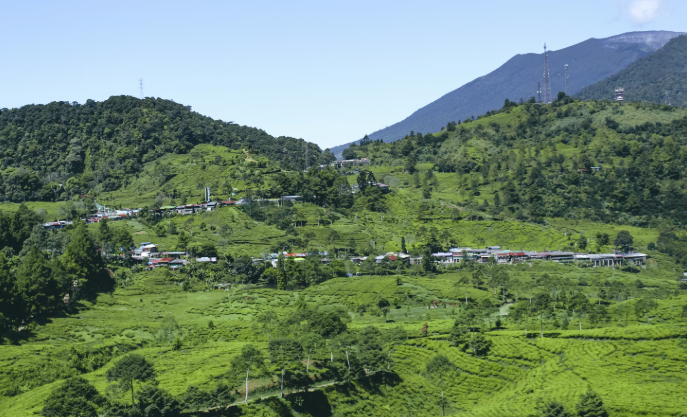 jadwal one way puncak bogor